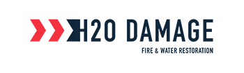 H20 Damage Site Logo